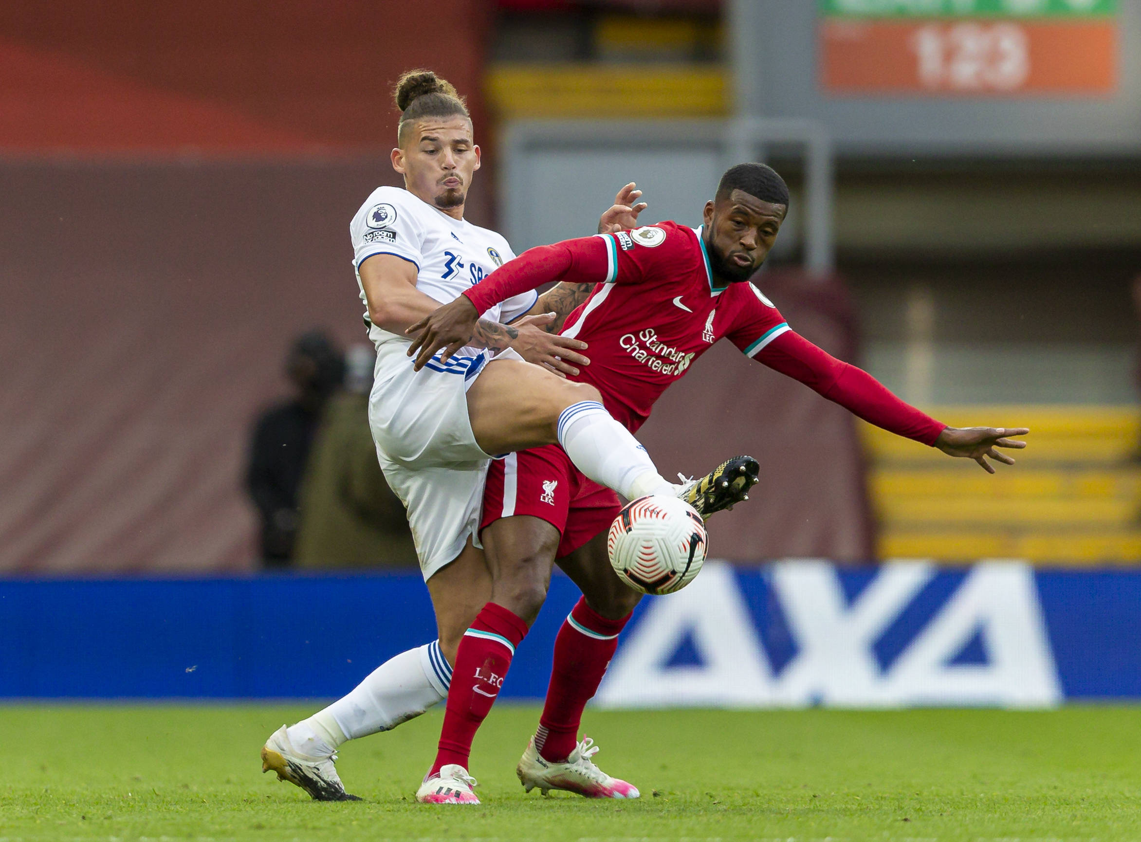 不仅能够帮 不仅能够帮