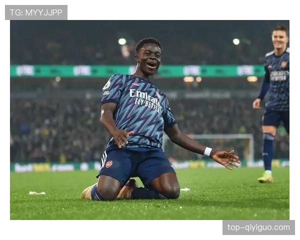 萨卡数据真实性与体系作用解析