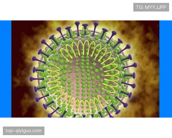 杜埃是否昙花一现：新星表现稳定性分析