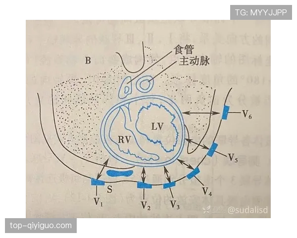 一分钟看懂八秒违例如何判定，让你不再为发球超时而困惑