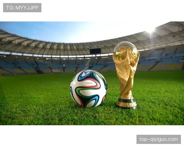 2026世界杯官方顺位比较解析